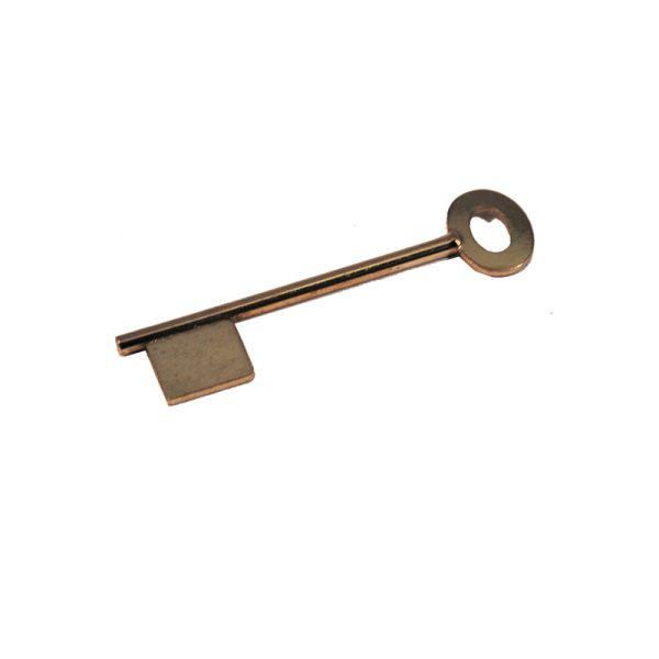 7 GAUGE PIN KEY 21 BIT 95 LONG